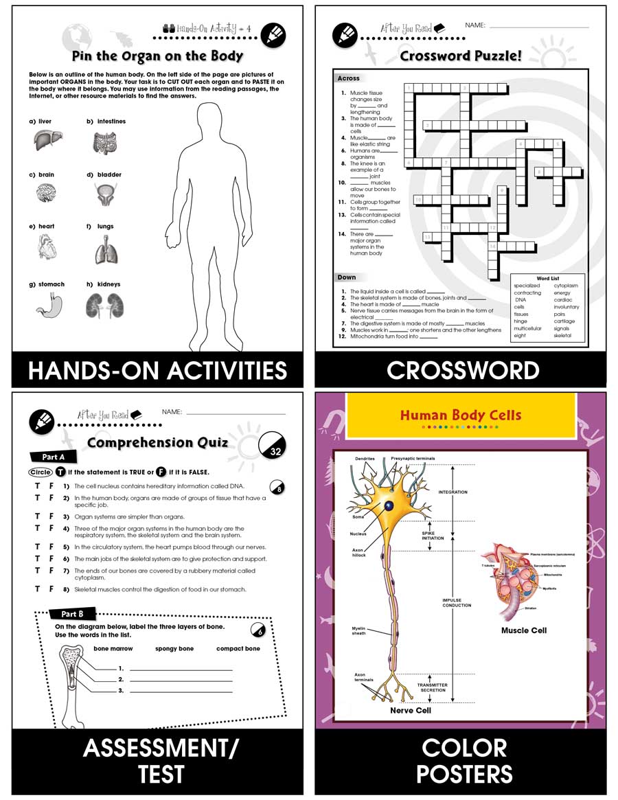 Cells, Skeletal & Muscular Systems Gr. 5-8 - eBook